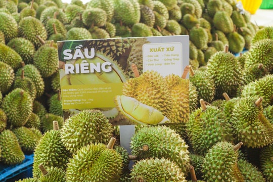 Giá sầu riêng hôm nay 9/9: Sầu Thái và Ri6 đồng loạt hạ giá