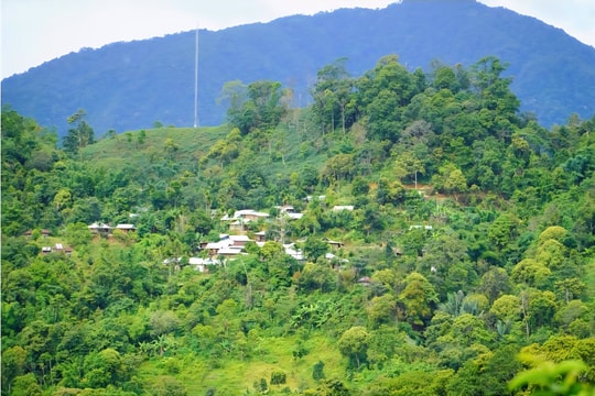 Trong veo Trà Vân