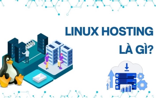 Linux và Windows Hosting: Nhân Hòa khẳng định vị thế lựa chọn hàng đầu