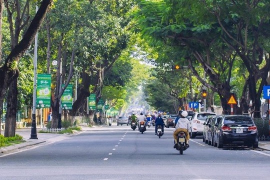 Thách thức đô thị xanh