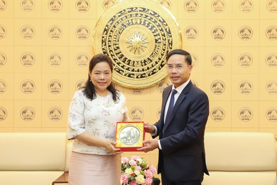 Da Nang seeks stronger cooperation with Thailand