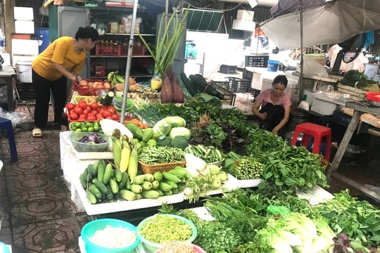 Cập nhật giá cả thị trường hôm nay ngày 11/9/2025 mới nhất