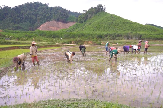 Động lực phát triển miền núi: Trợ lực từ chính sách