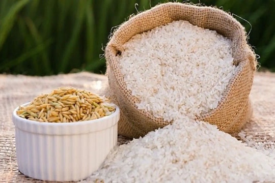 Giá lúa gạo hôm nay 13/9: Thị trường gạo chao đảo