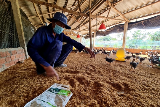 Thúc đẩy phát triển nông nghiệp bền vững