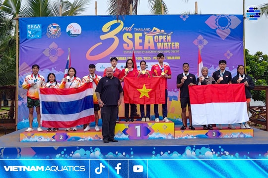 Việt Nam đoạt 5 huy chương Vàng giải bơi đường dài Đông Nam Á