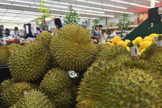 Sầu riêng dần chinh phục thị trường Mỹ