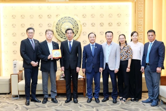 Đà Nẵng mời gọi doanh nghiệp Nhật Bản đầu tư vào khu thương mại tự do