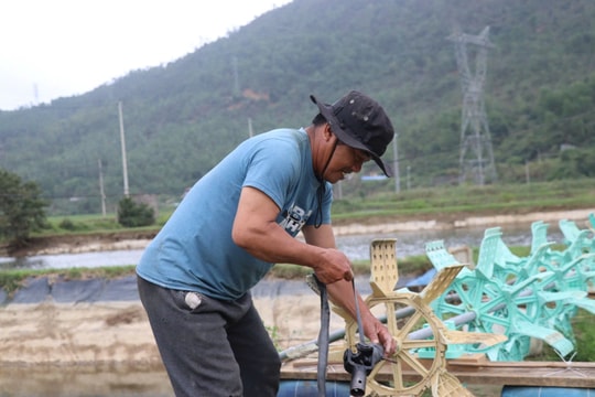 Bảo vệ thủy sản nuôi trước mùa mưa bão