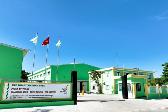 Prospects for industrial cluster development in southern Da Nang