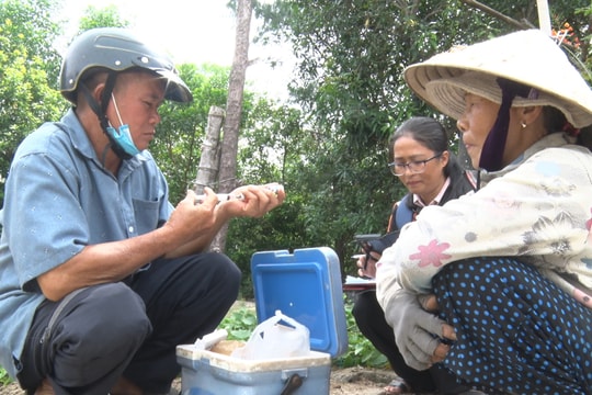 Đẩy mạnh công tác tiêm phòng cho đàn vật nuôi
