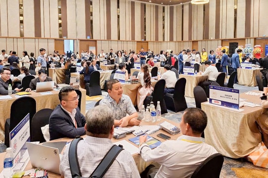 Ngày hội Du lịch quốc tế Đà Nẵng 2025: Cơ hội kết nối giữa các doanh nghiệp