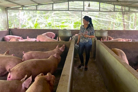 Những nông dân Đà Nẵng xuất sắc, tiêu biểu