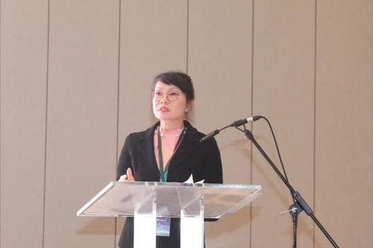 Da Nang promotes investment in the UK