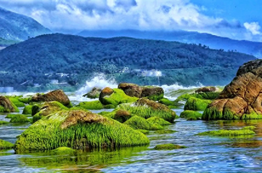 Da Nang photo collection to be exhibited in South Korea