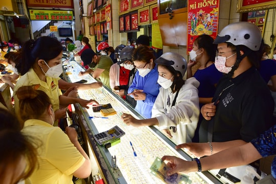 Cập nhật giá cả thị trường hàng hóa trong nước và thế giới 17/9