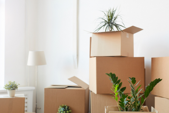 LefoBox: Hành trình hơn 10 năm trở thành thương hiệu thùng carton uy tín