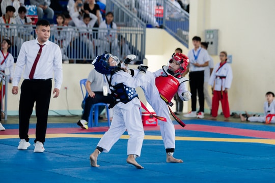 Gần 400 võ sĩ trẻ tranh tài giải Taekwondo thành phố Đà Nẵng