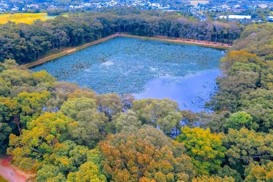 Giếng trời trong vắt giữa xứ hiền