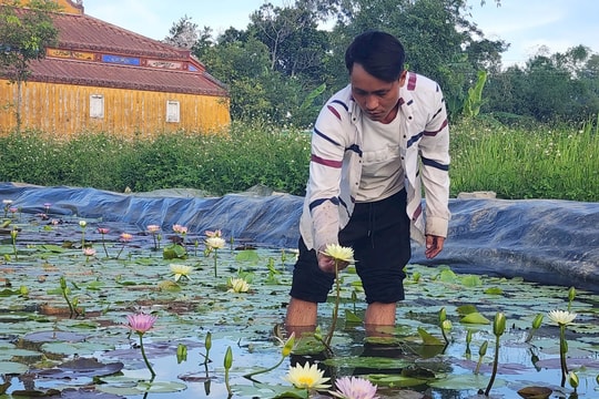 Nông dân vượt khó vươn lên thoát nghèo