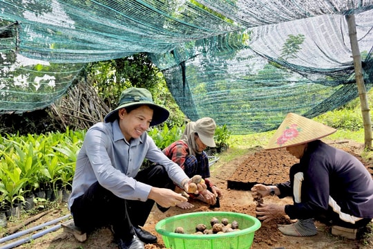 [VIDEO] - Từ vườn ươm cây giống đến “Nông dân Việt Nam xuất sắc” năm 2025