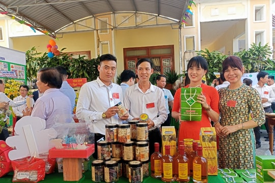 Hoạt động khởi nghiệp ở Núi Thành gặp khó