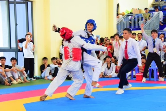 Sân chơi hấp dẫn của các võ sĩ trẻ