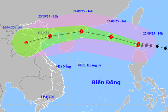 Đà Nẵng chủ động ứng phó siêu bão Ragasa, đề phòng xảy ra dông lốc, sét