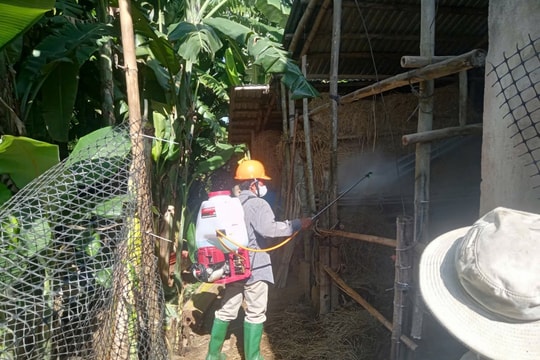 Chủ động tiêm vắc xin phòng bệnh cho đàn vật nuôi