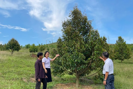 Nông dân miền núi vượt khó làm kinh tế