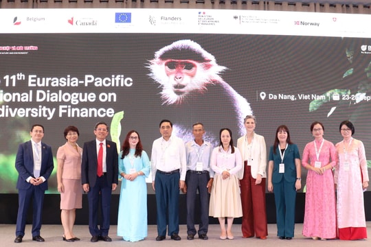 Thúc đẩy sáng kiến tài chính về đa dạng sinh học