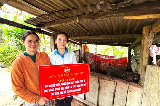 Trao “cần câu” giúp nông dân thoát nghèo