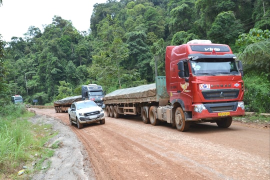 Dự án cải tạo, nâng cấp quốc lộ 14D: Phấn đấu khởi công trong tháng 4/2026