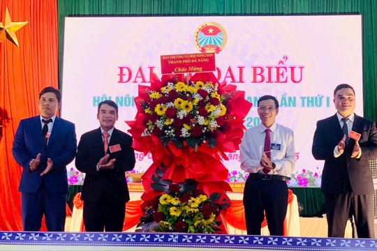 Xã Đông Giang có 1.132 nông dân sản xuất, kinh doanh giỏi