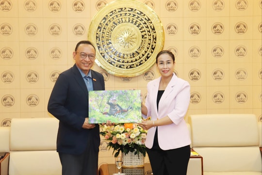 Tạo thuận lợi để WVI triển khai các chương trình, dự án an sinh xã hội tại Đà Nẵng
