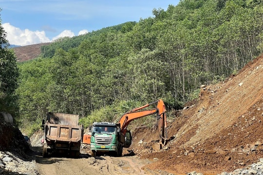 Sở Xây dựng Đà Nẵng chỉ đạo ứng phó bão Bualoi