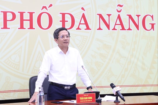 Đề phòng tác động của bão Bualoi đến Đà Nẵng, chủ động dừng các hoạt động trên biển