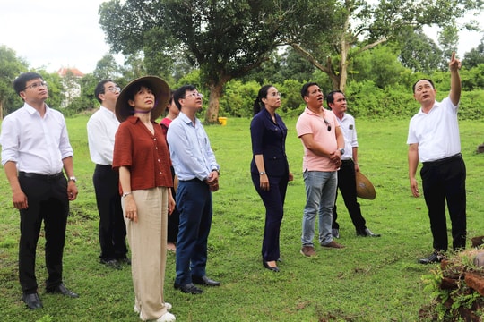 Lãnh đạo thành phố khảo sát thực trạng các điểm văn hóa, du lịch phía Nam thành phố