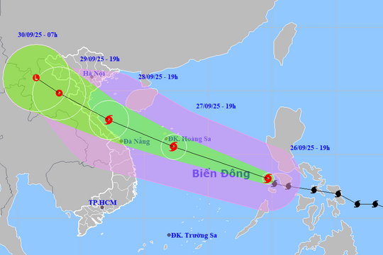 Thành ủy Đà Nẵng chỉ đạo chủ động triển khai công tác phòng, chống bão số 10