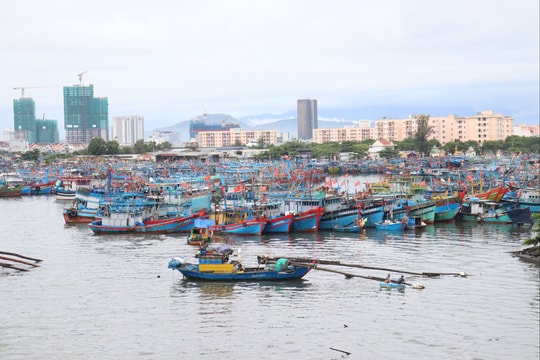 Đà Nẵng cấm biển, khẩn trương ứng phó với bão số 10