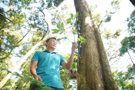Lên rừng, xem "quốc bảo Ngọc Linh"