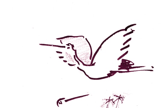 Bài học từ bờ ruộng quê nhà