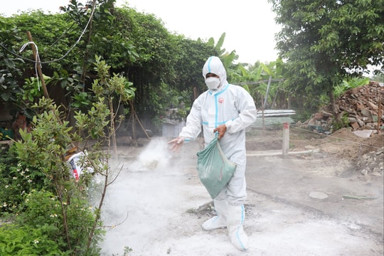 Đẩy mạnh phòng chống dịch bệnh động vật