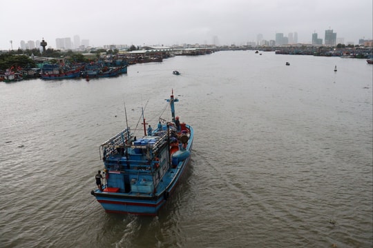 Đà Nẵng không còn tàu cá ở vùng biển nguy hiểm