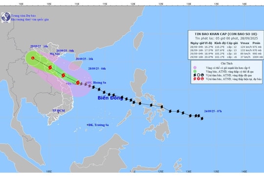 Storm Bualoi triggers heavy downpours, flooding threat in Da Nang
