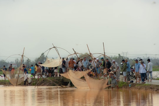 Mùa nước tràn đồng