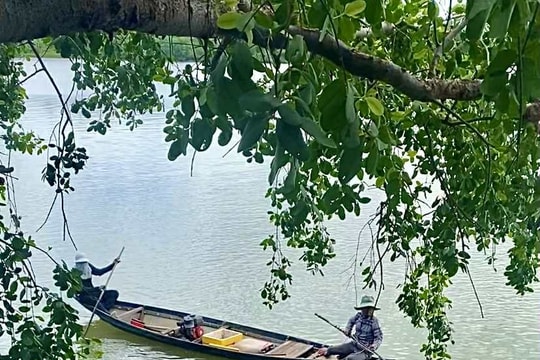 Cần xử lý hành vi đánh bắt cá bằng kích điện trên sông