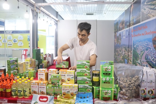 Hội chợ EWEC - Đà Nẵng 2025: Cầu nối giao thương Đà Nẵng và quốc tế