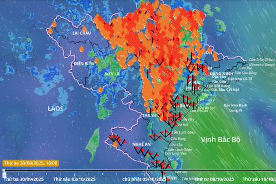 Bão số 10 gây thiệt hại nặng ở nhiều địa phương