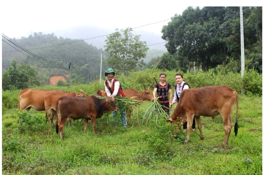 Cuộc sống thay đổi từ vốn vay ưu đãi